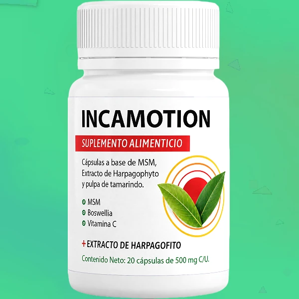 IncaMotion
